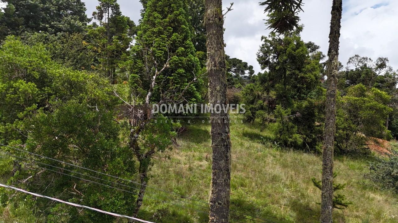 Terreno, 1095 m² - Foto 6