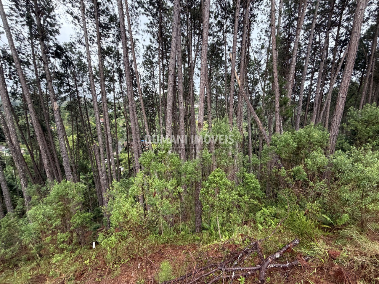 Terreno, 2560 m² - Foto 4