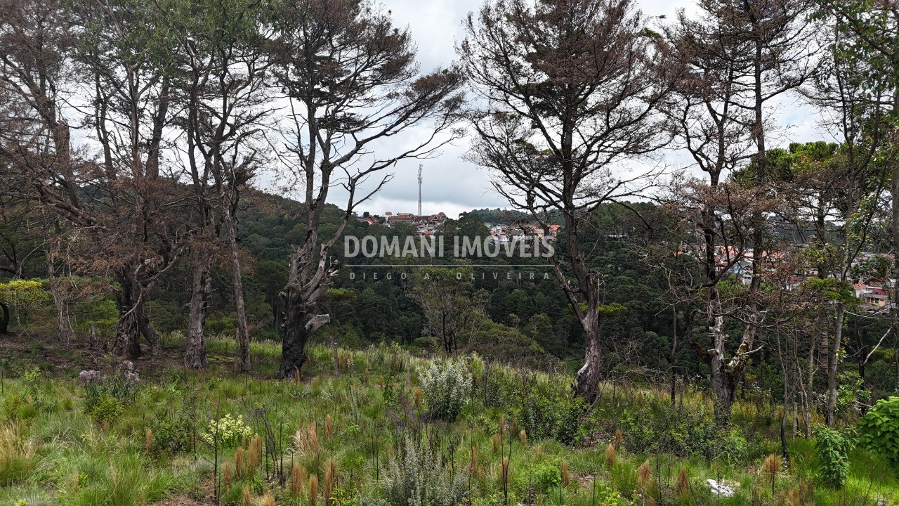 Terreno, 2795 m² - Foto 17