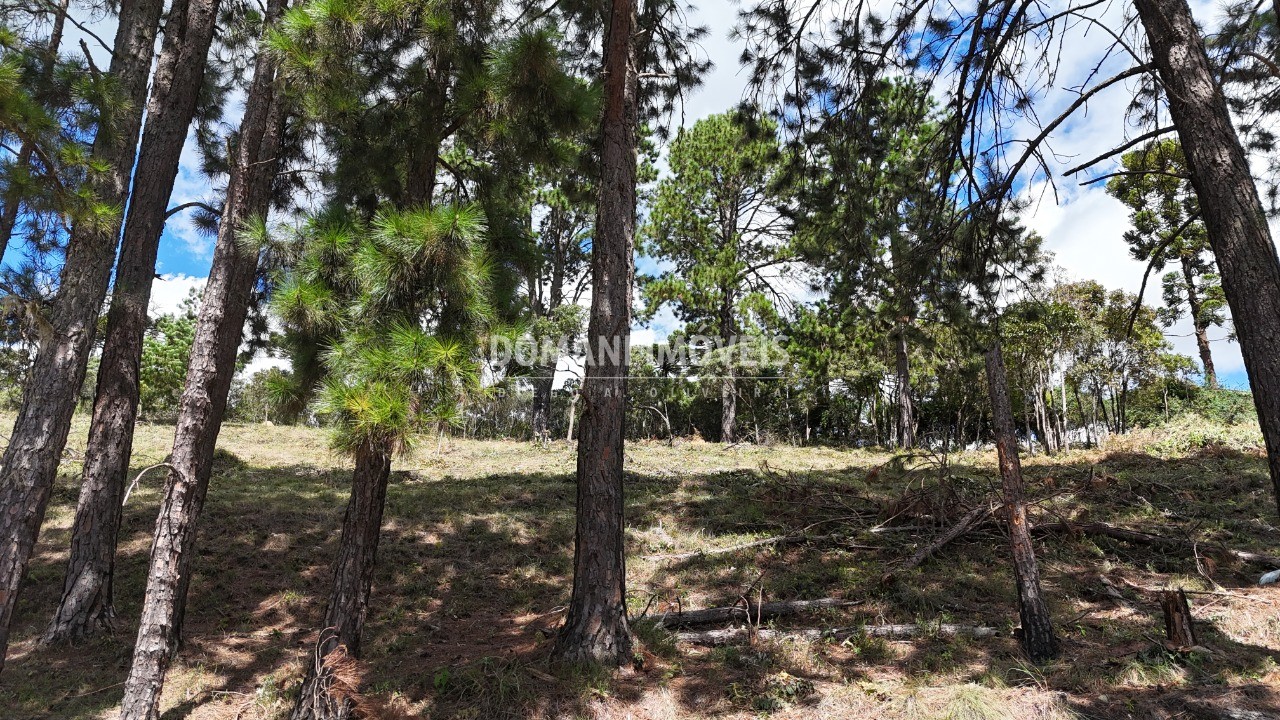 Terreno, 5290 m² - Foto 10
