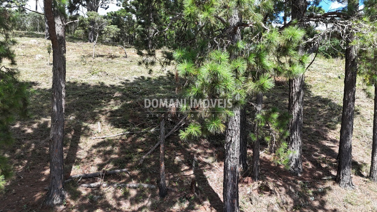 Terreno, 5290 m² - Foto 14