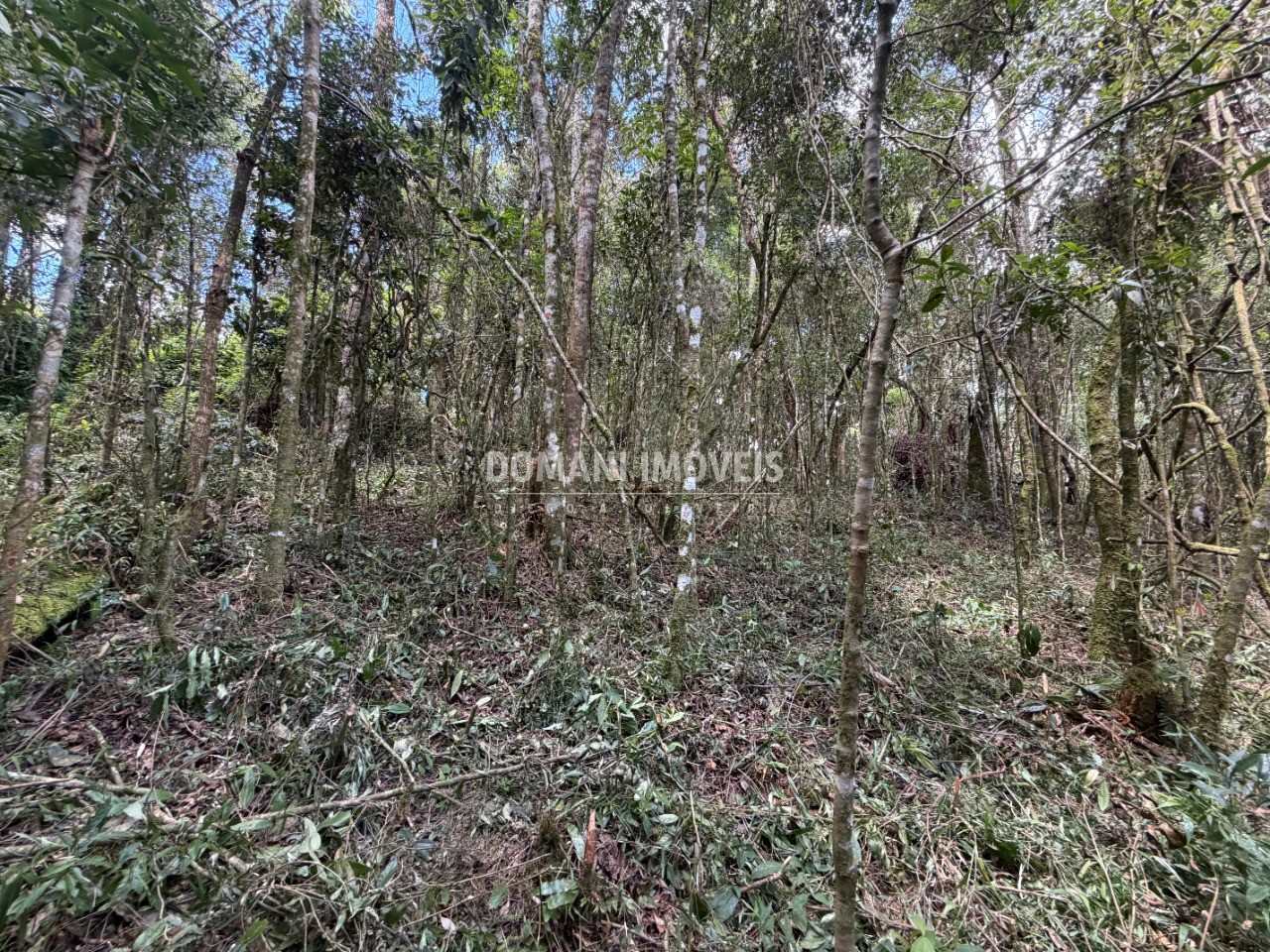 Terreno, 1000 m² - Foto 8