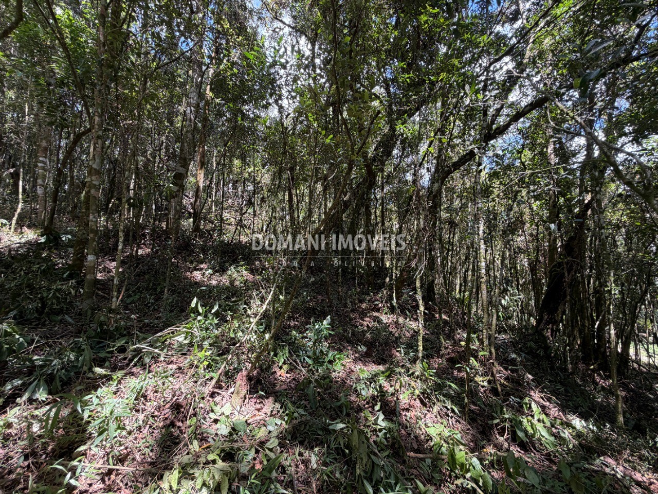 Terreno, 1000 m² - Foto 15