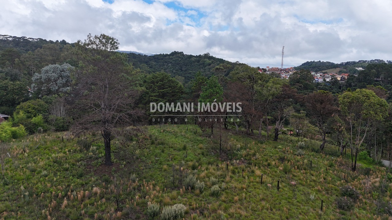 Terreno, 2795 m² - Foto 9