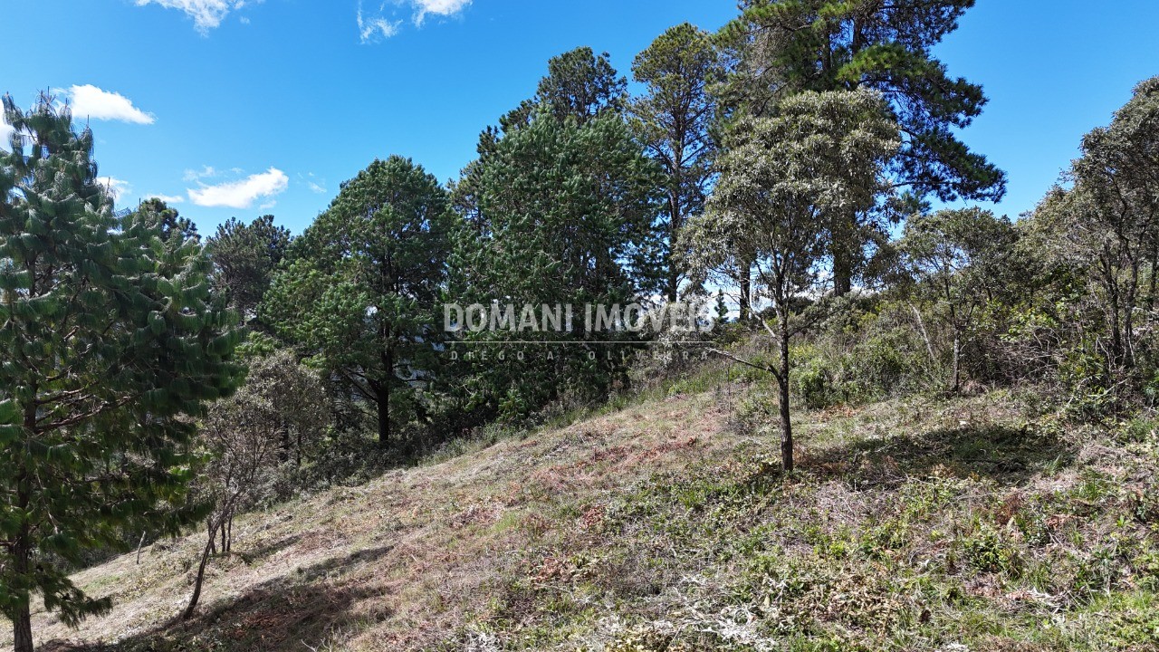 Terreno, 5290 m² - Foto 31