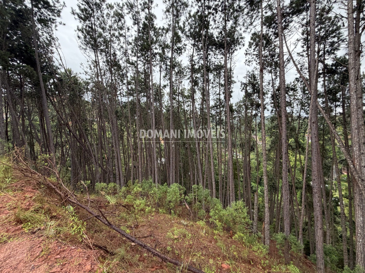 Terreno, 2560 m² - Foto 16