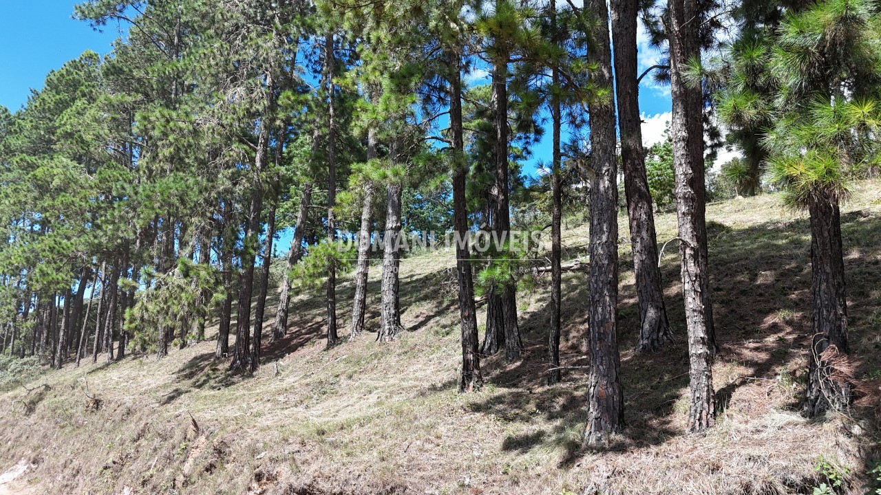 Terreno, 5290 m² - Foto 33