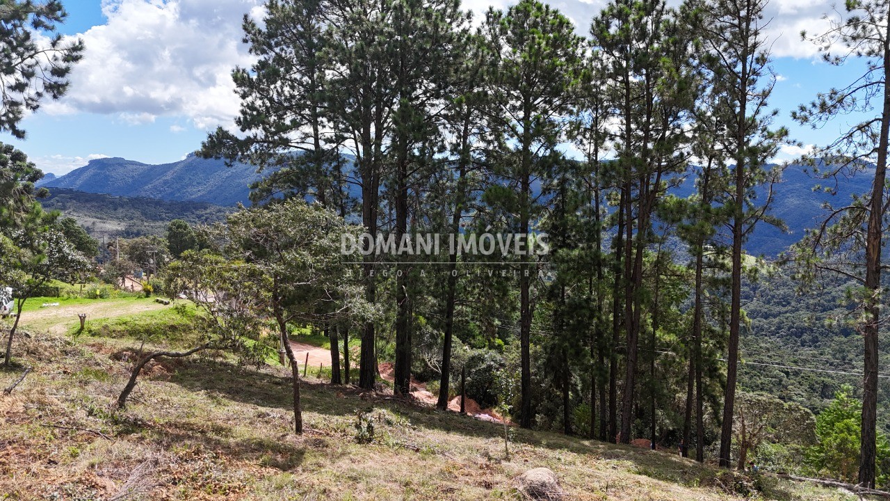 Terreno, 5290 m² - Foto 2