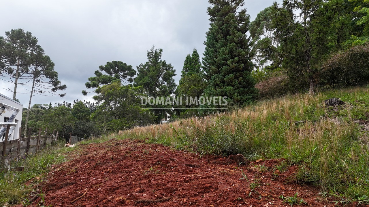Terreno, 1095 m² - Foto 22