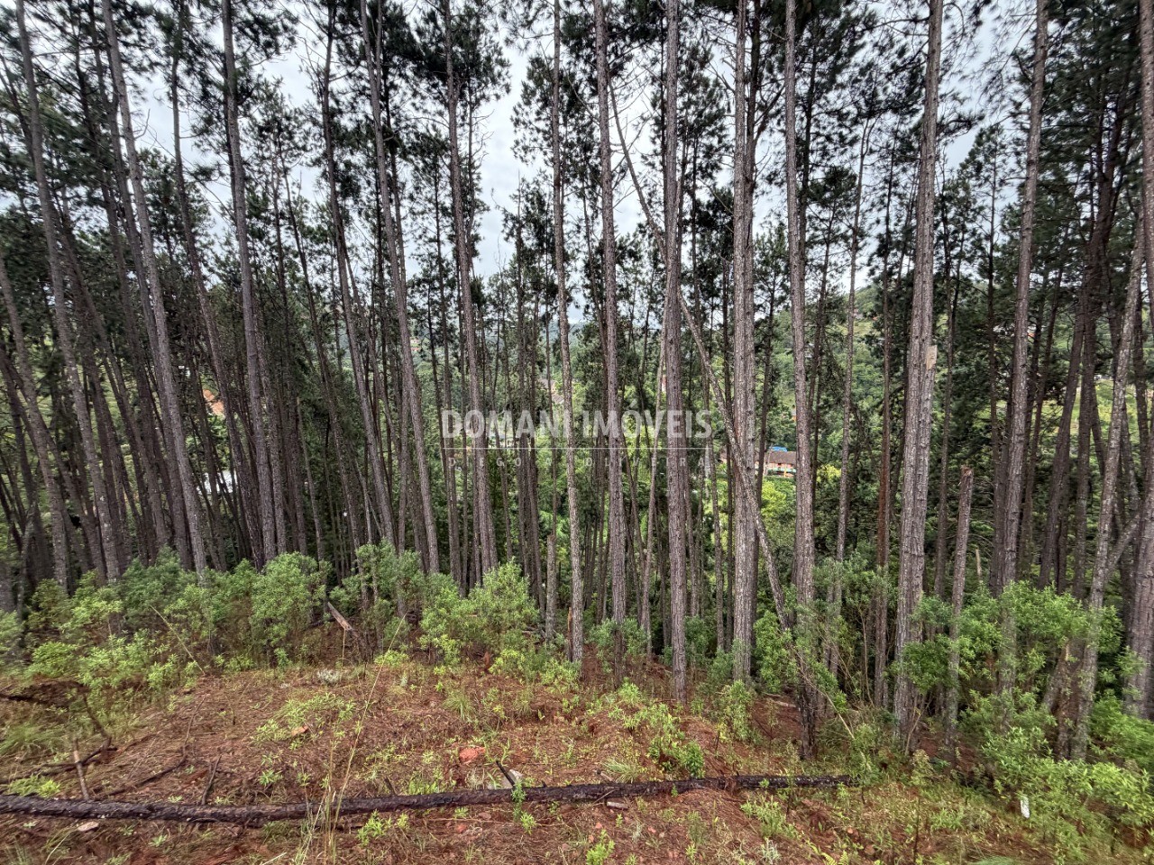 Terreno, 2560 m² - Foto 15