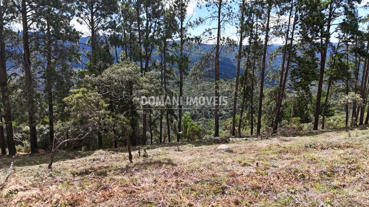 Terreno, 5290 m² - Foto 5