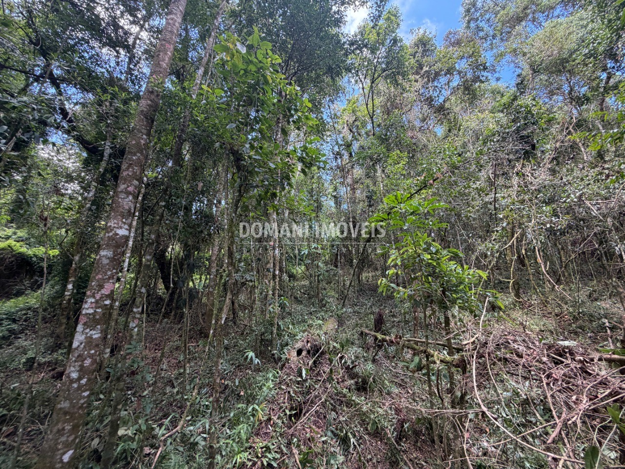 Terreno, 1000 m² - Foto 3