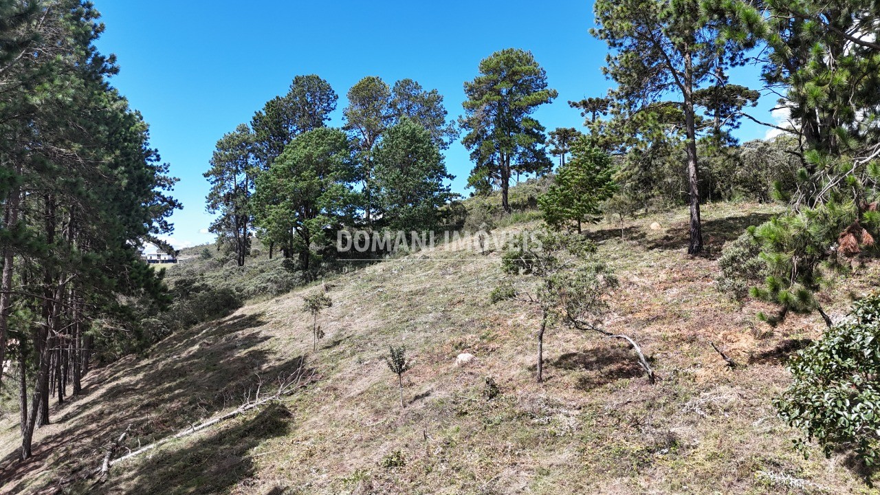 Terreno, 5290 m² - Foto 36