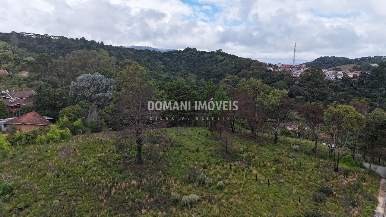 Terreno, 2795 m² - Foto 11