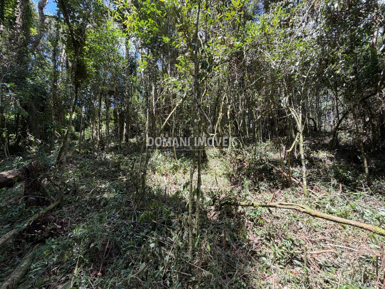 Terreno, 1000 m² - Foto 11