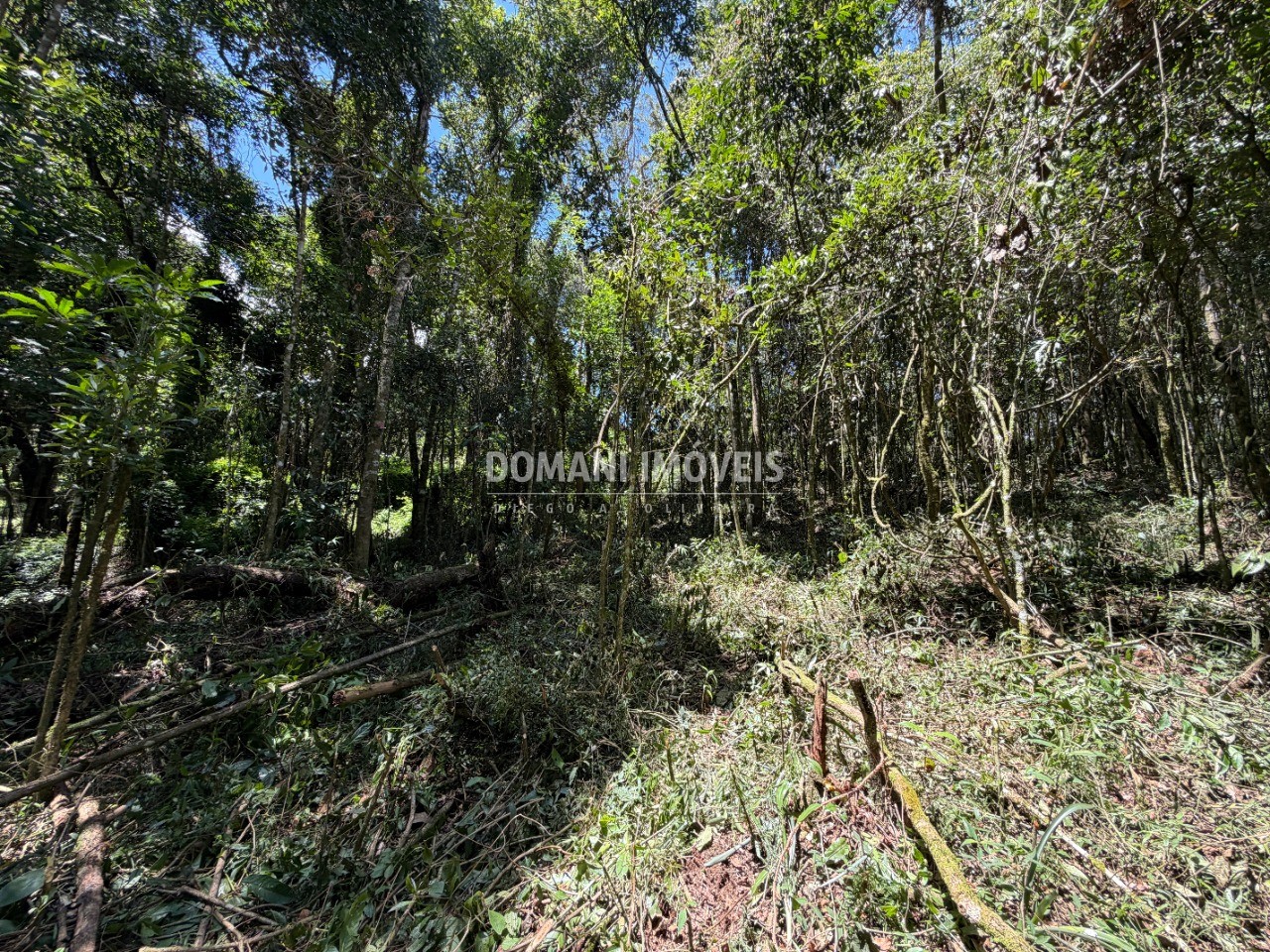 Terreno, 1000 m² - Foto 13