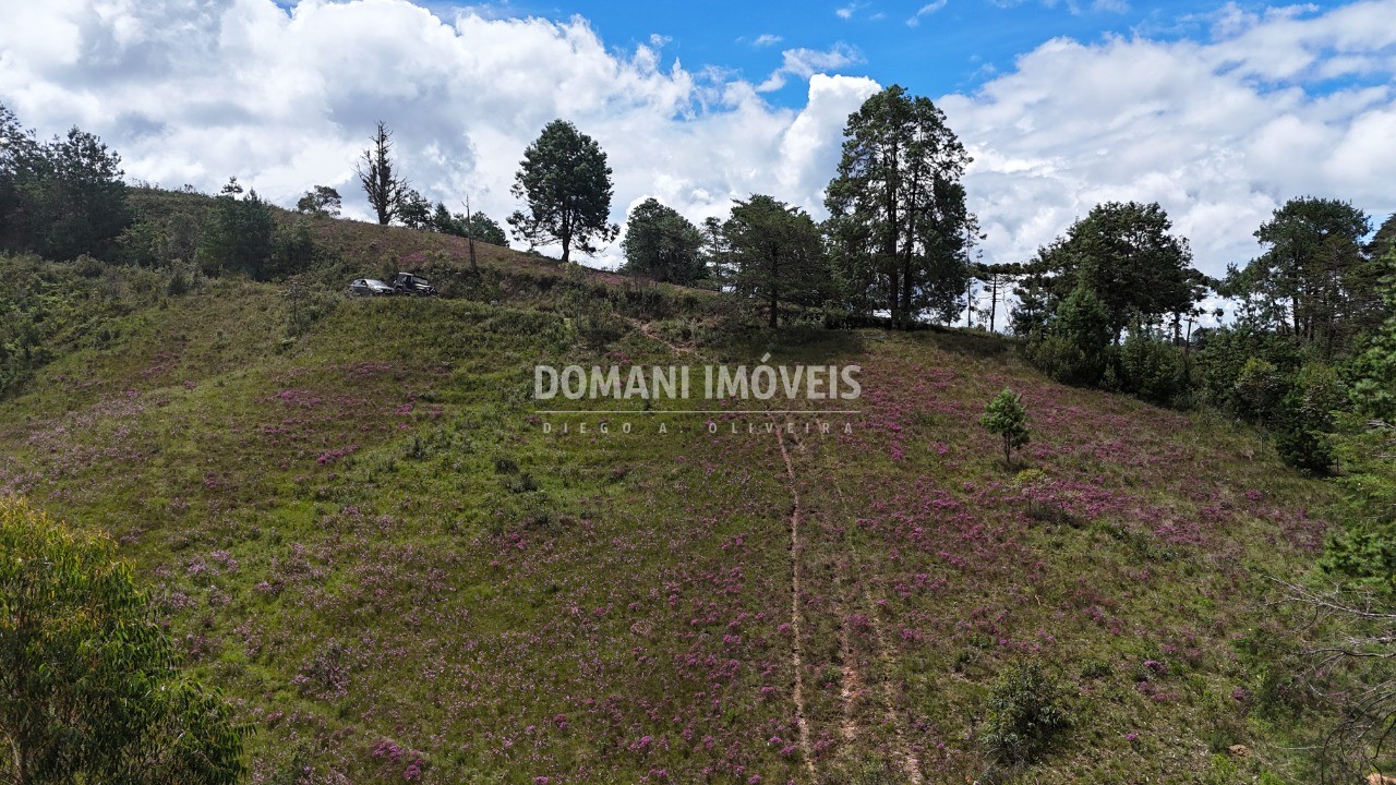Terreno, 7090 m² - Foto 7