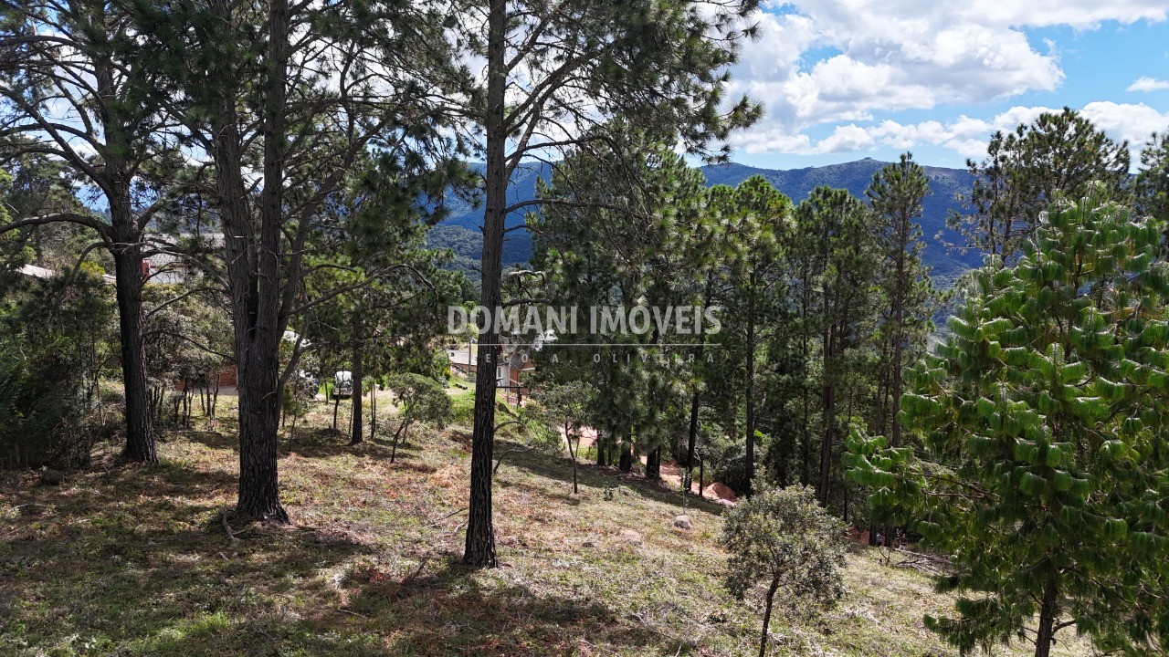 Terreno, 5290 m² - Foto 22