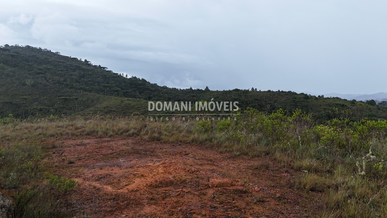 Terreno, 2320 m² - Foto 11