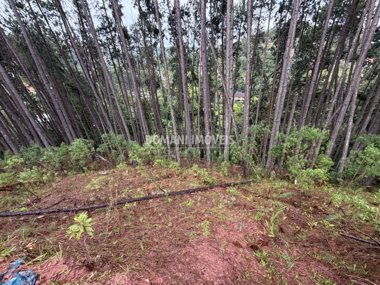 Terreno, 2560 m² - Foto 11