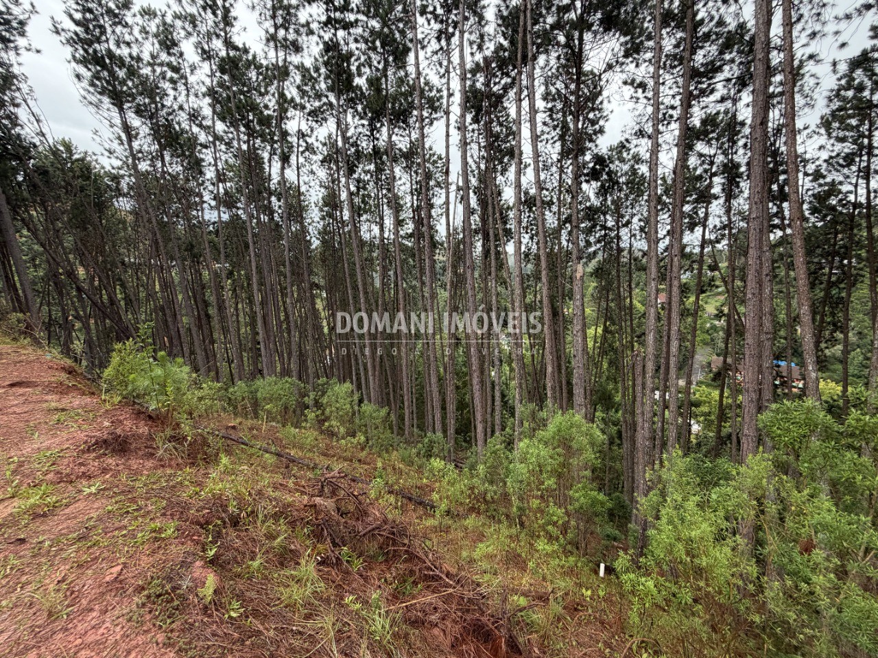 Terreno, 2560 m² - Foto 3