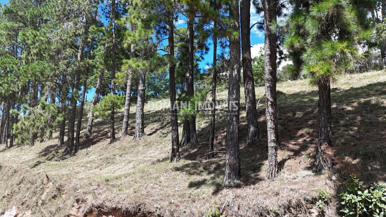 Terreno, 5290 m² - Foto 13