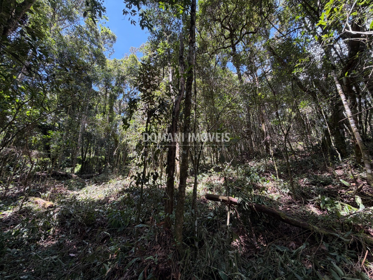Terreno, 1000 m² - Foto 16
