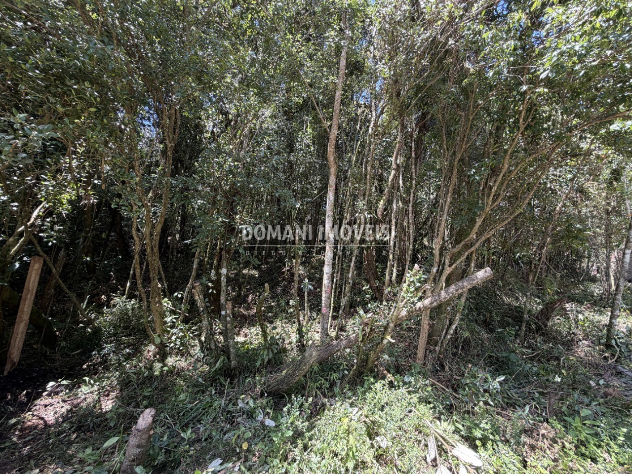 Terreno, 1000 m² - Foto 29