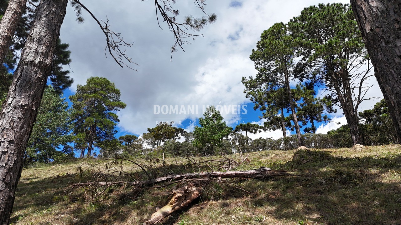 Terreno, 5290 m² - Foto 6