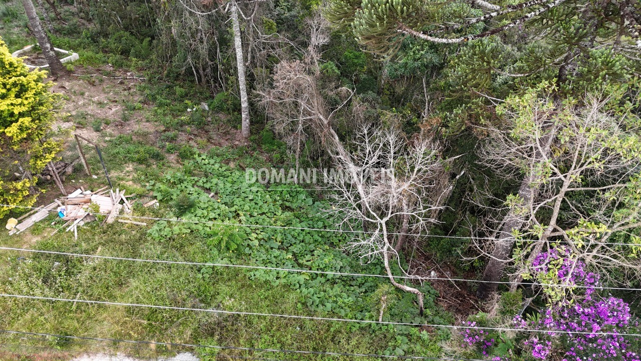 Terreno, 1180 m² - Foto 17