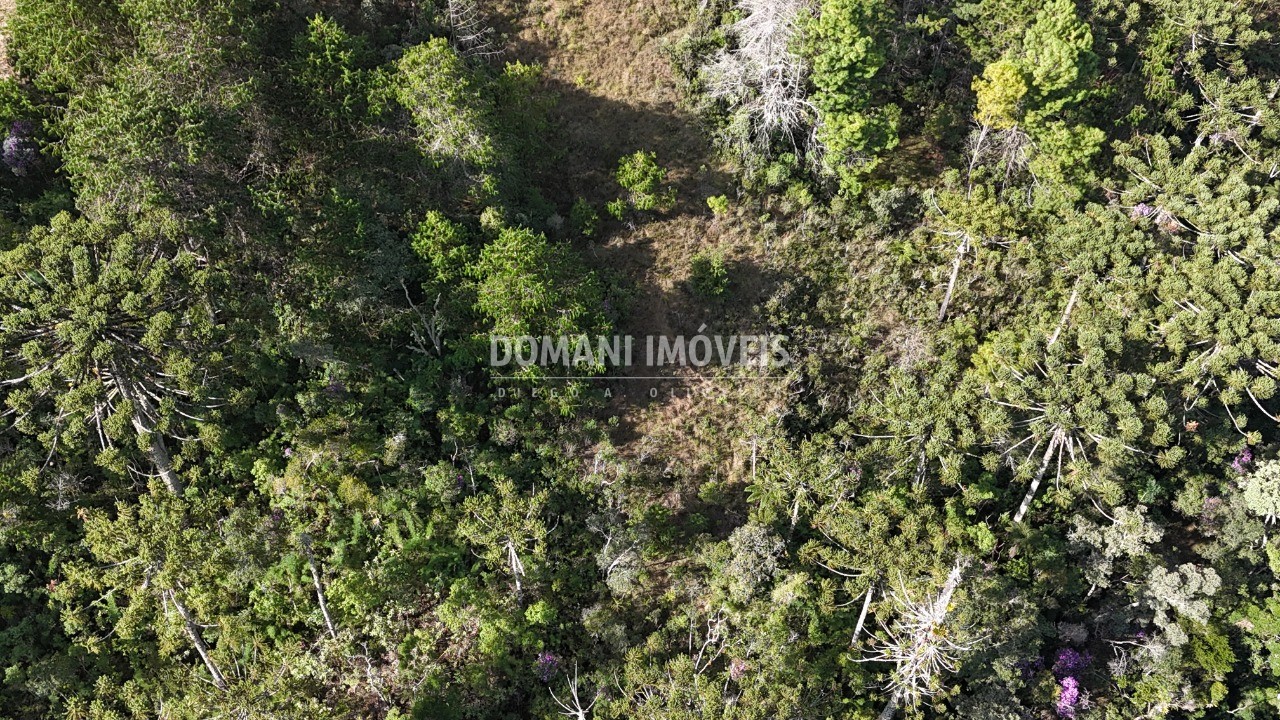 Terreno, 1185 m² - Foto 5