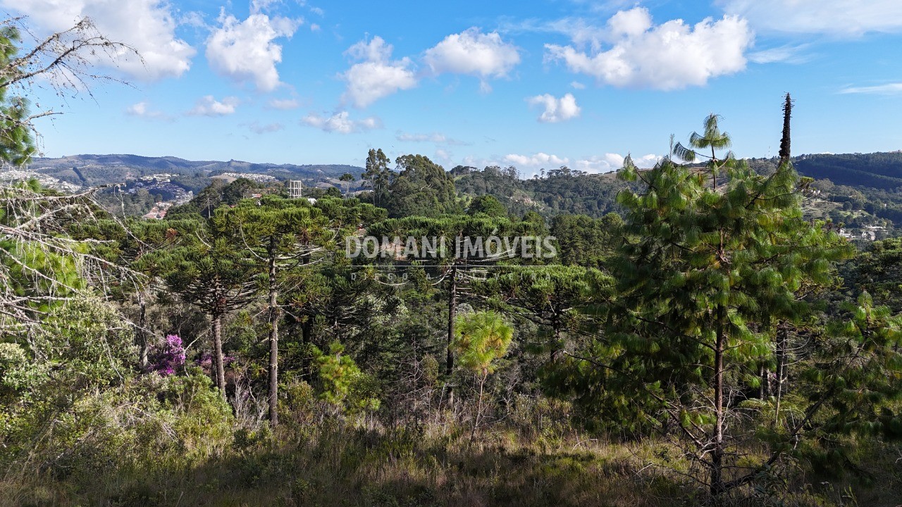 Terreno, 1185 m² - Foto 10