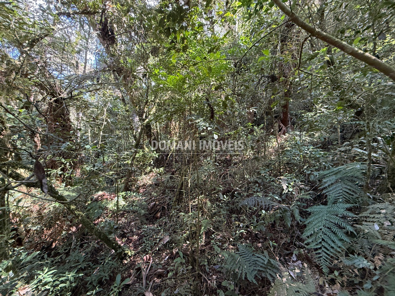 Terreno, 2500 m² - Foto 19