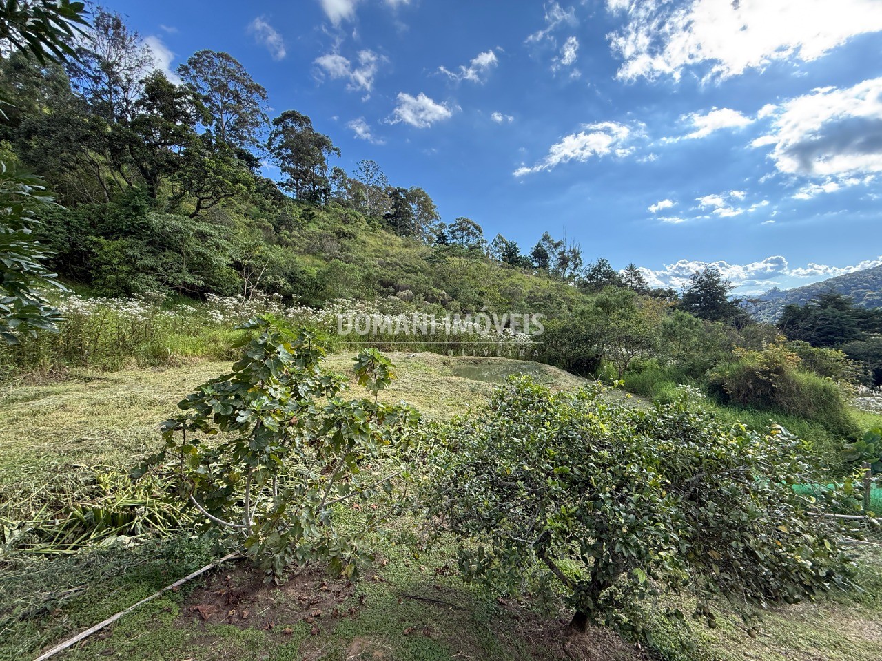 Terreno - Foto 14