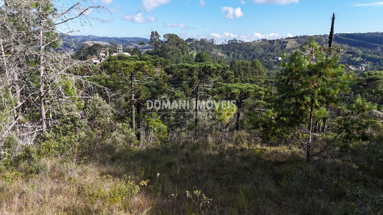 Terreno, 1185 m² - Foto 18