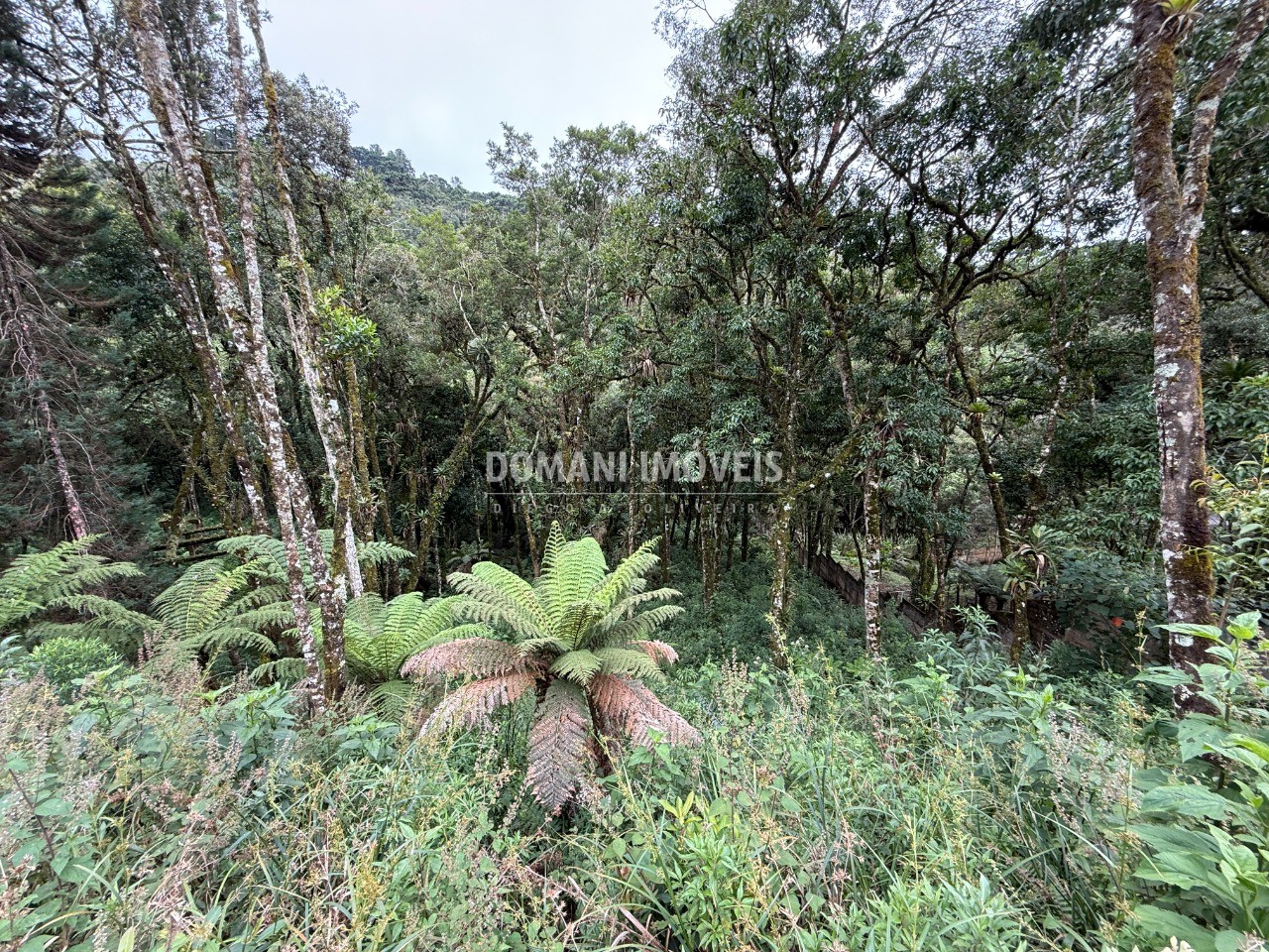 Terreno, 1380 m² - Foto 10
