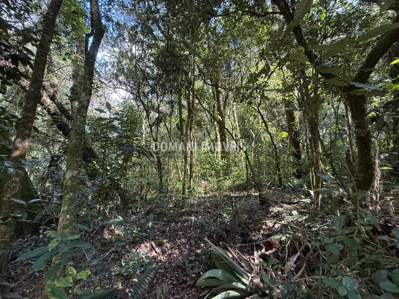 Terreno, 2500 m² - Foto 1
