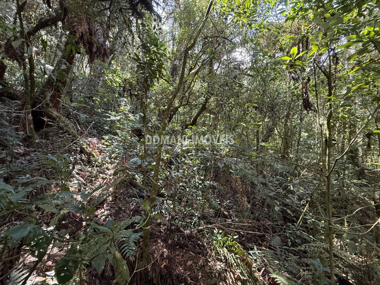 Terreno, 2500 m² - Foto 22