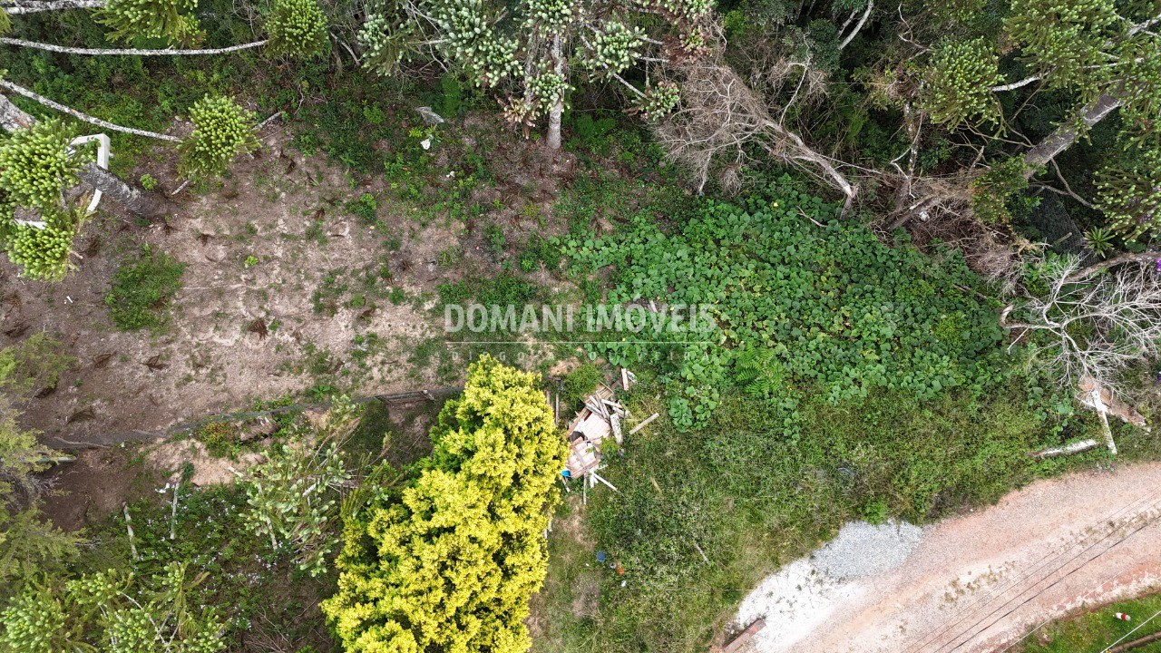 Terreno, 1180 m² - Foto 6