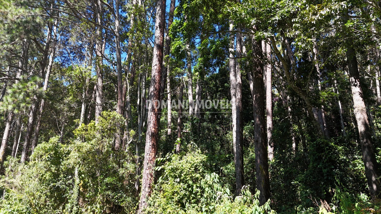 Terreno, 1550 m² - Foto 14