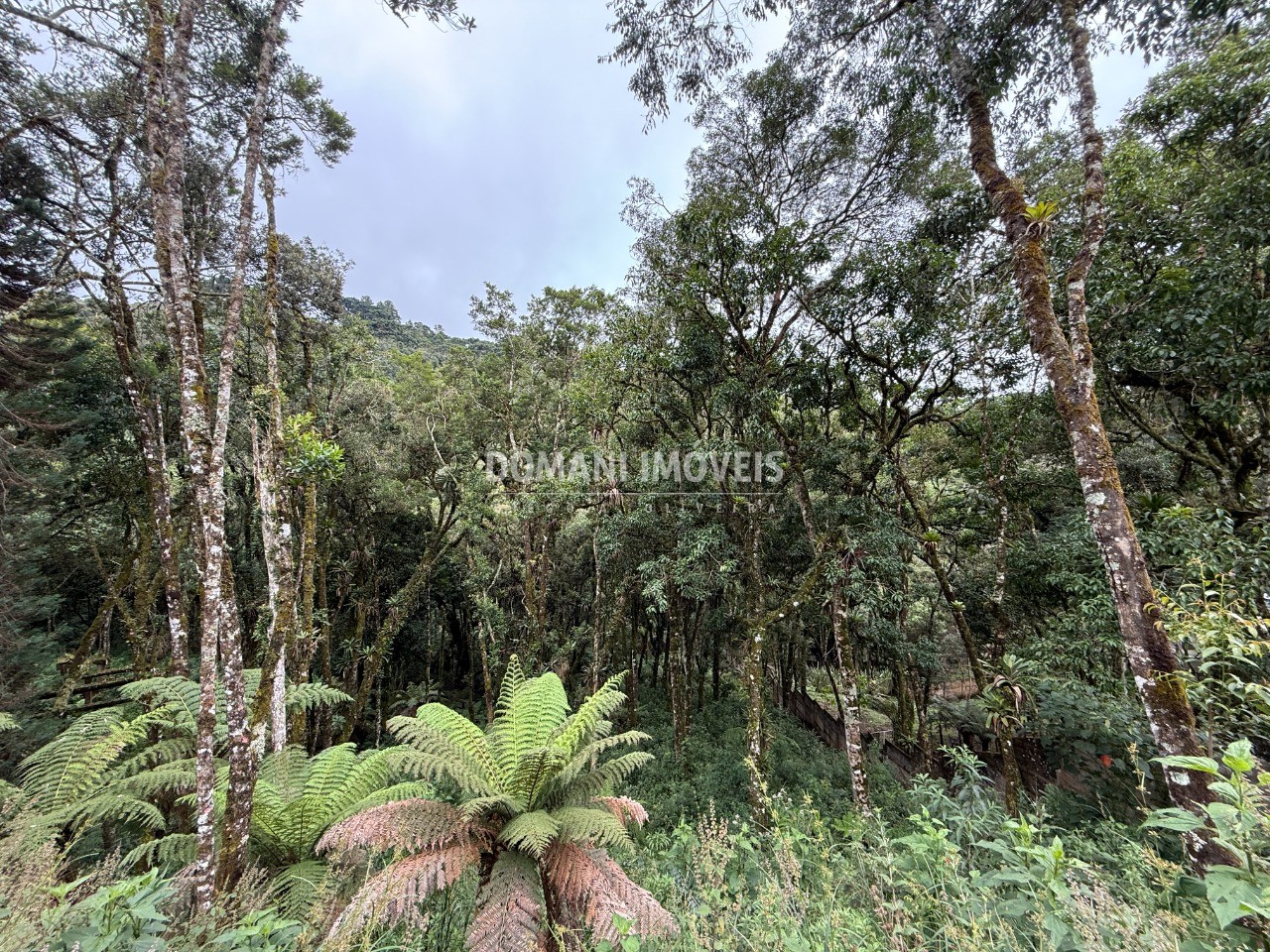 Terreno, 1380 m² - Foto 11