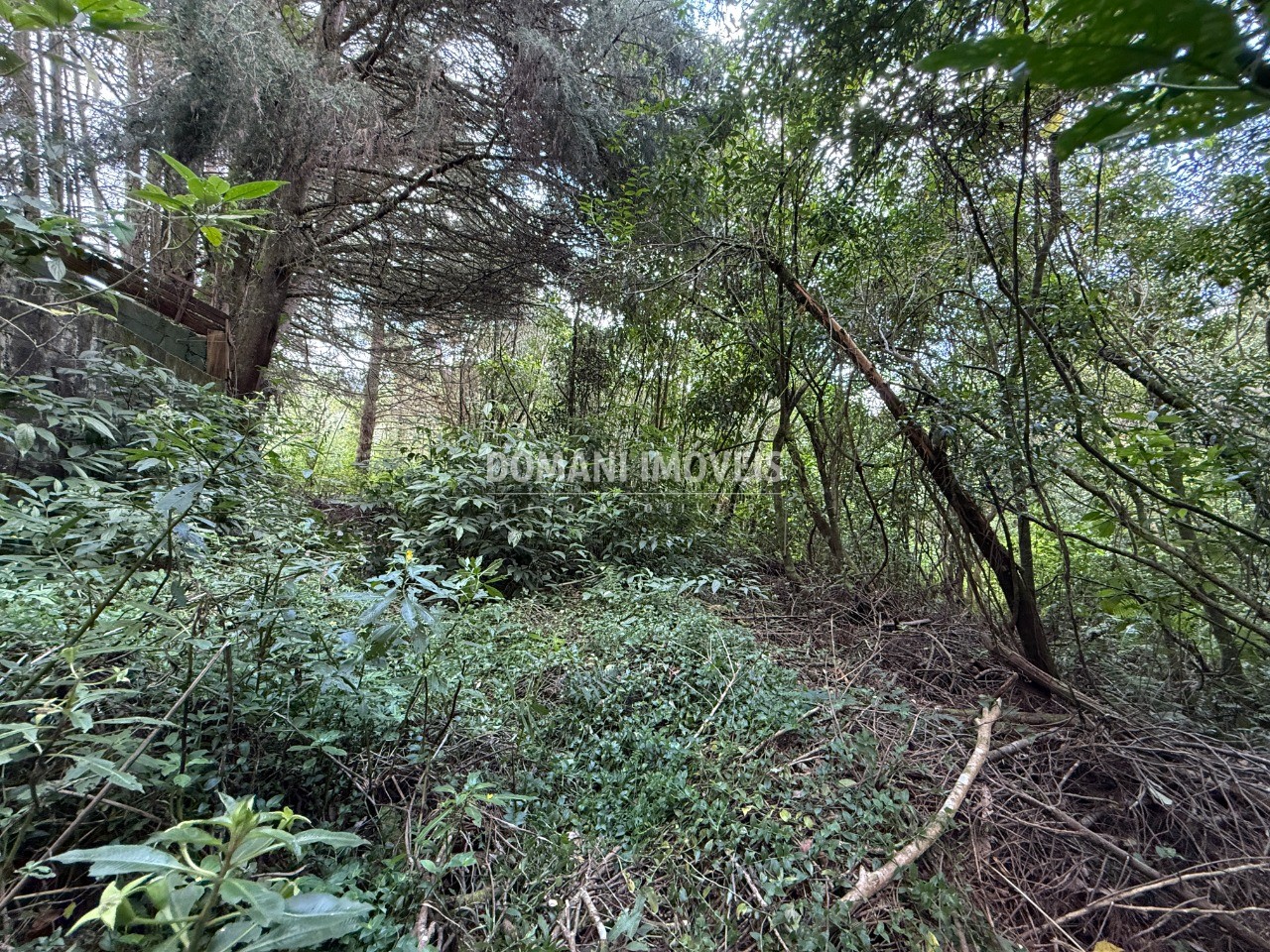 Terreno, 1357 m² - Foto 20