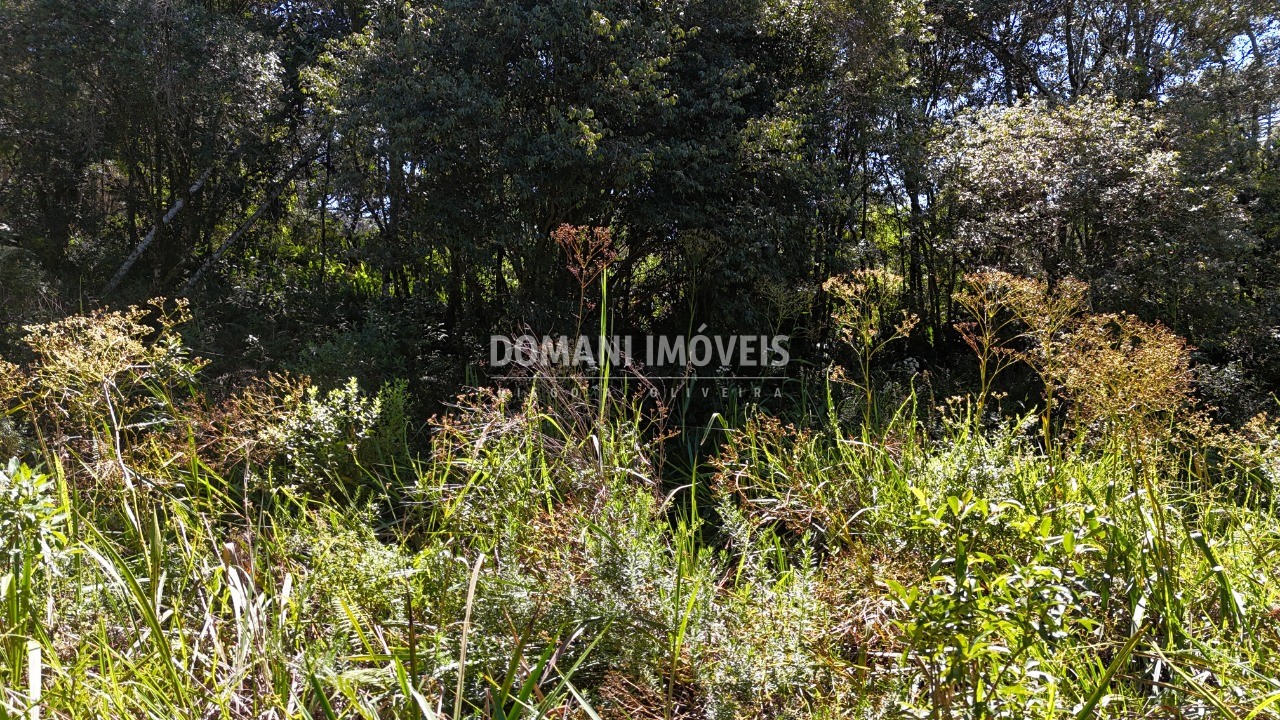 Terreno, 1120 m² - Foto 4