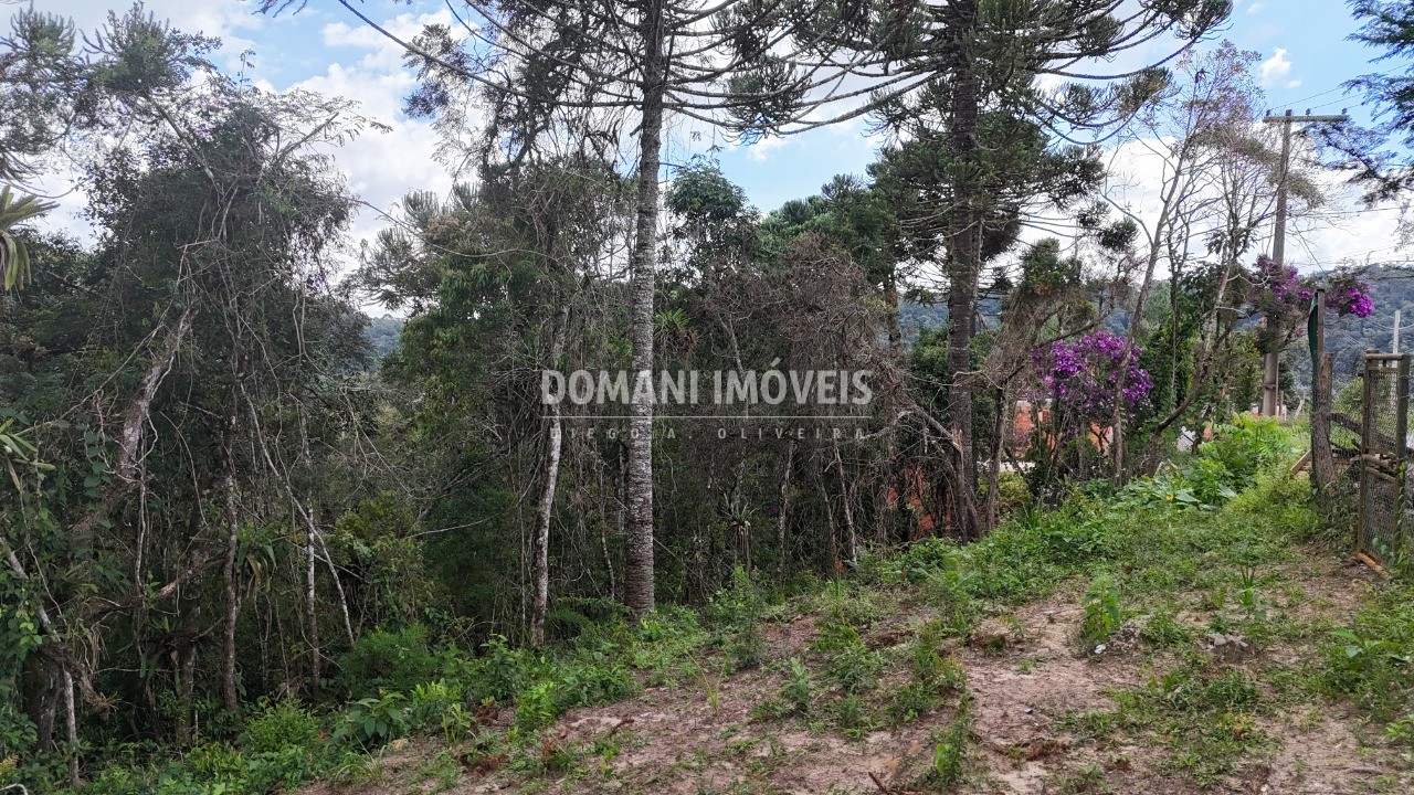 Terreno, 1180 m² - Foto 11
