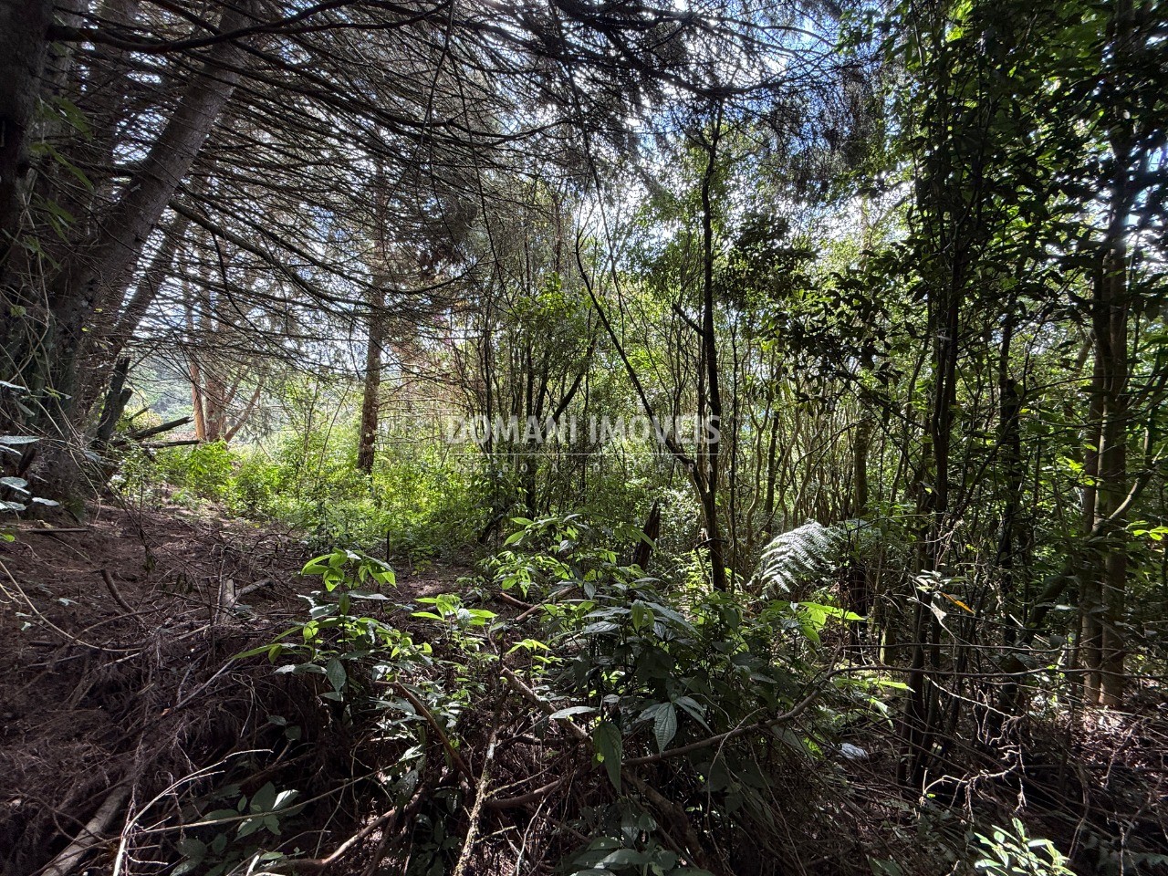 Terreno, 1357 m² - Foto 17