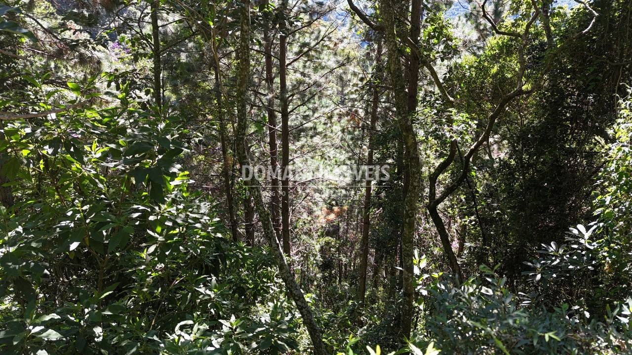 Terreno, 1030 m² - Foto 12