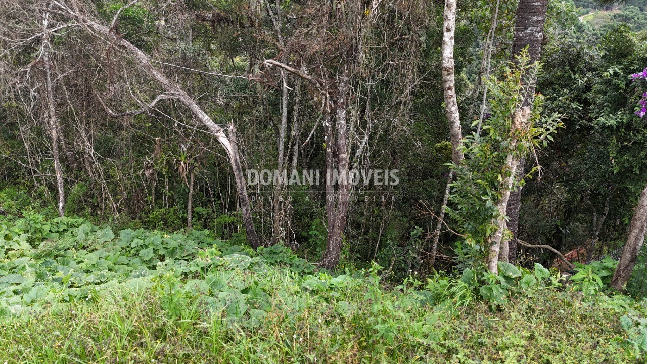 Terreno, 1180 m² - Foto 15
