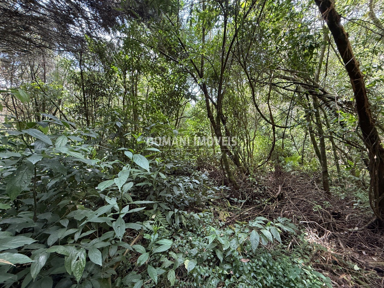 Terreno, 1357 m² - Foto 16