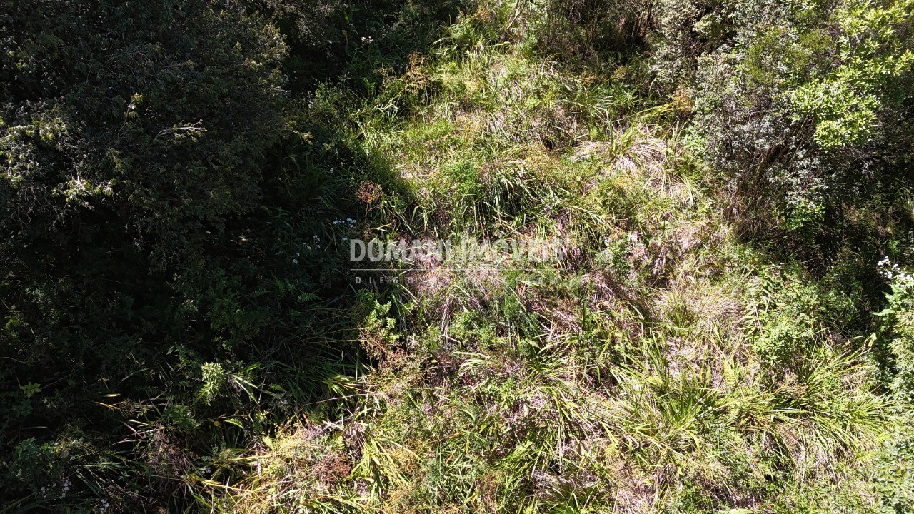 Terreno, 1120 m² - Foto 3