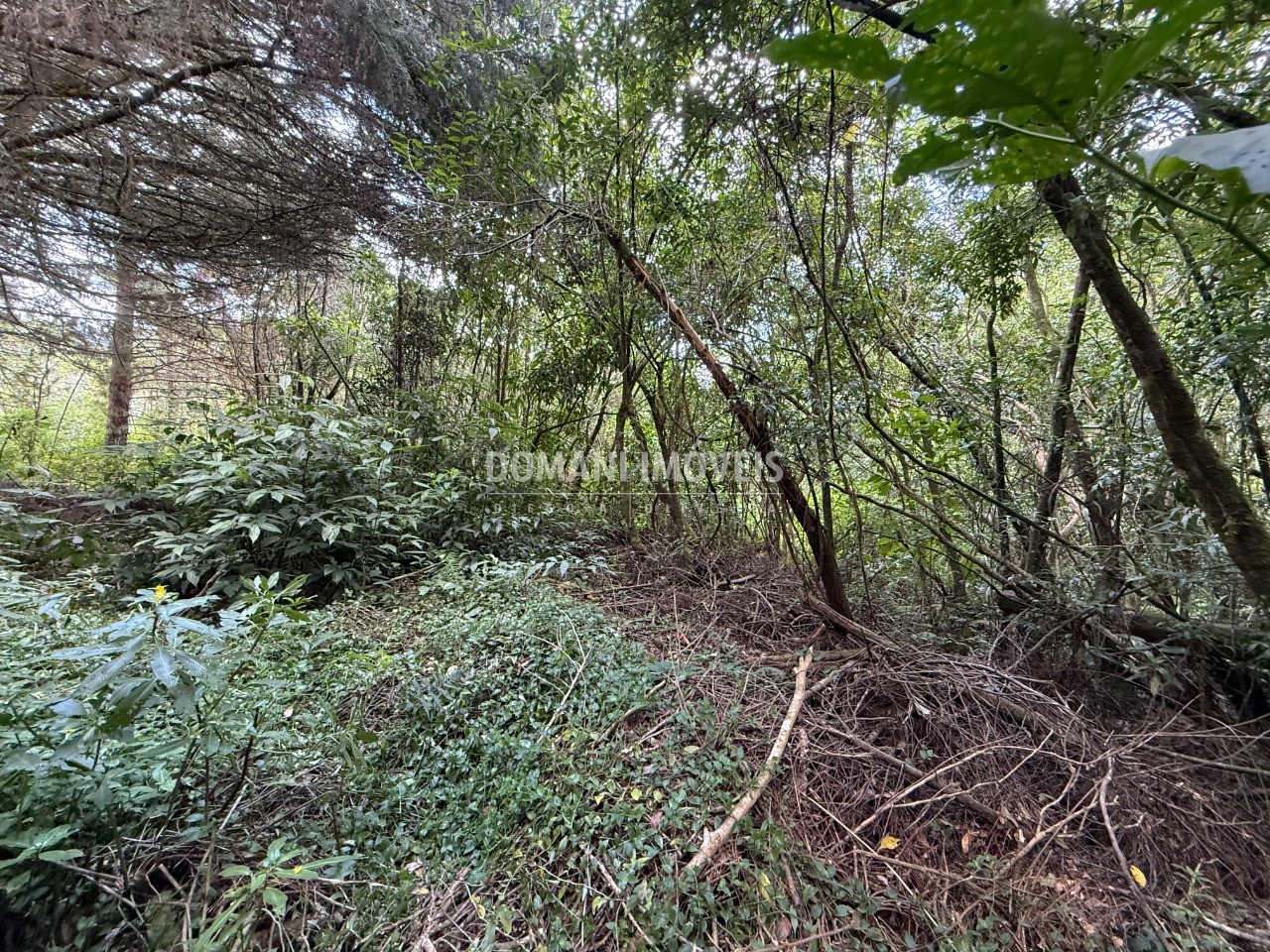 Terreno, 1357 m² - Foto 21